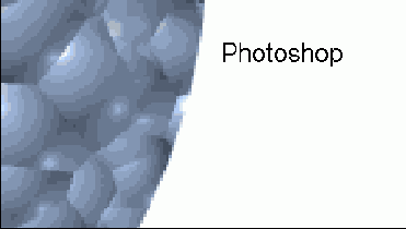   Illustrator   Photoshop