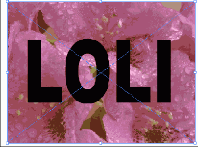   Illustrator   Photoshop