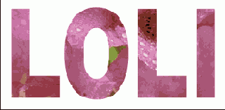   Illustrator   Photoshop