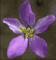  Blur ()  Diffuse ()