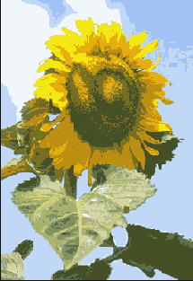  Blur ()  Diffuse ()