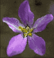  Blur ()  Diffuse ()