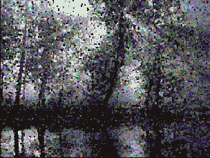  Pointillize ()  Facet ()