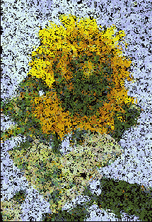  Pointillize  Glass ()