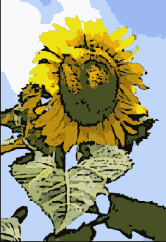  Poster Edges ( )  Smart Blur ( )