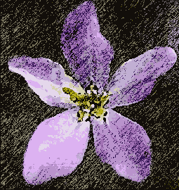  Dry Brush ( )  Graphic Pen