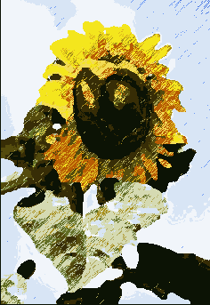  Dry Brush ( )  Graphic Pen