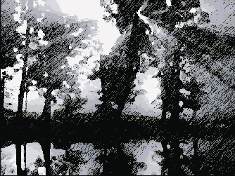  Dry Brush ( )  Graphic Pen