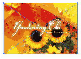    Photoshop   Illustrator