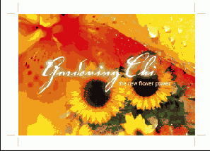    Photoshop   Illustrator